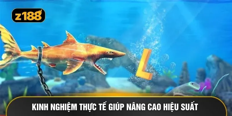 Kinh nghiệm thực tế giúp nâng cao hiệu suất 